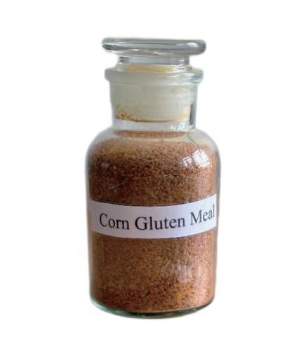 Corn Gluten Meal